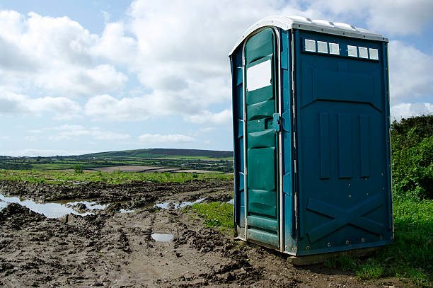 Best Portable Toilets with Baby Changing Stations  in Lake Fenton, MI